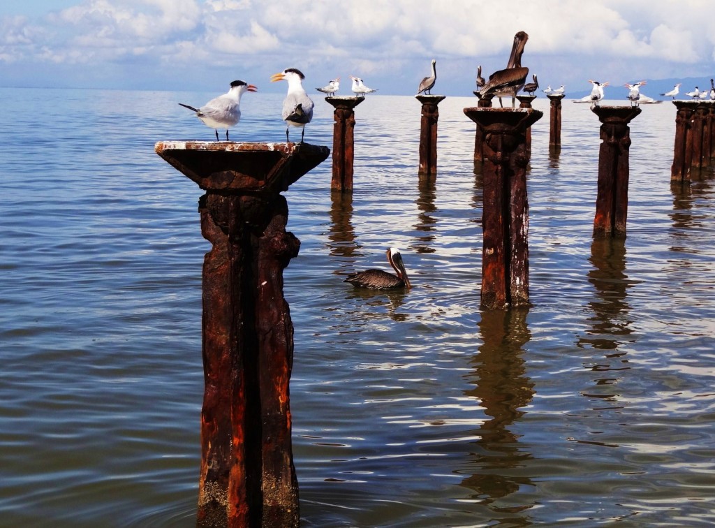 Foto: Los Haitises - Parque Nacional Los Haitises (Hato Mayor), República Dominicana