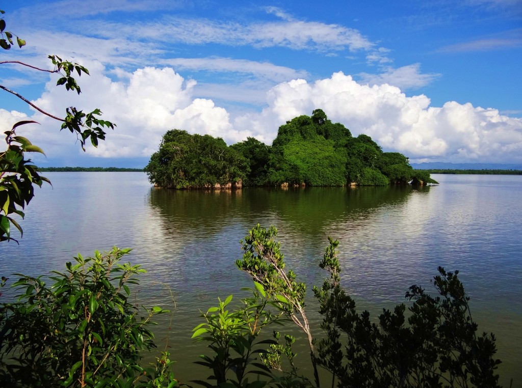 Foto: Cayo de Willy - Parque Nacional Los Haitises (Hato Mayor), República Dominicana