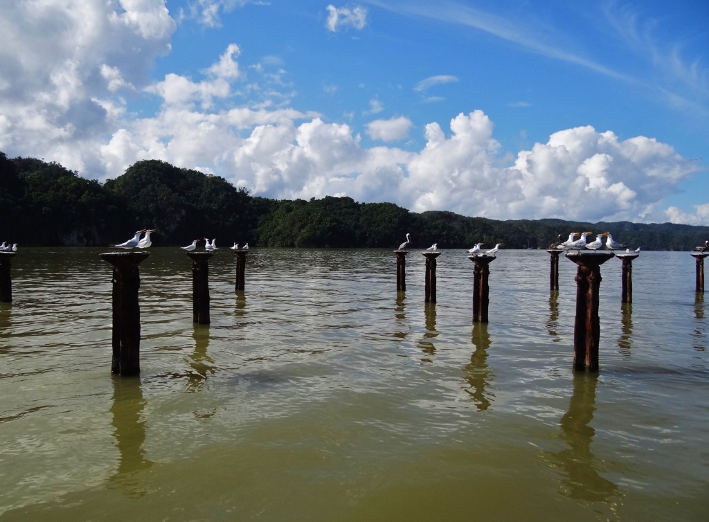 Foto: Los Haitises - Parque Nacional Los Haitises (Hato Mayor), República Dominicana