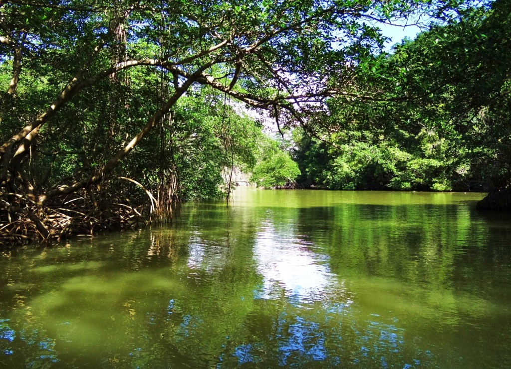 Foto: Parque Nacional Los Haitises - Parque Nacional Los Haitises (Hato Mayor), República Dominicana
