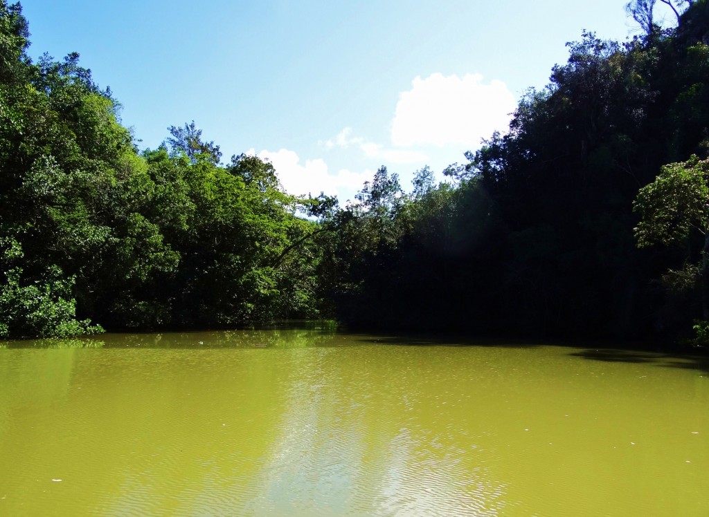 Foto: Parque Nacional Los Haitises - Parque Nacional Los Haitises (Hato Mayor), República Dominicana