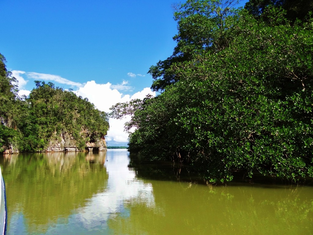 Foto: Los Haitises - Parque Nacional Los Haitises (Hato Mayor), República Dominicana
