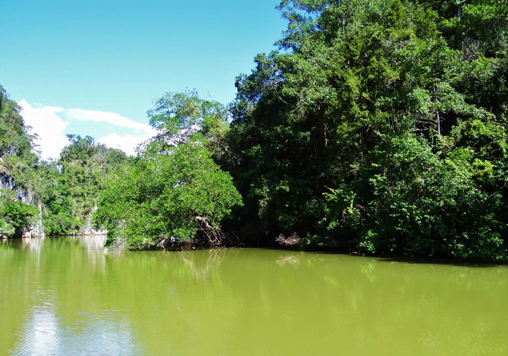 Foto: Parque Nacional Los Haitises - Parque Nacional Los Haitises (Hato Mayor), República Dominicana