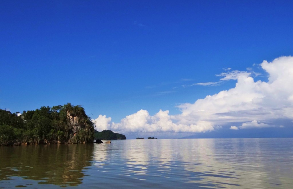 Foto: Los Haitises - Parque Nacional Los Haitises (Hato Mayor), República Dominicana