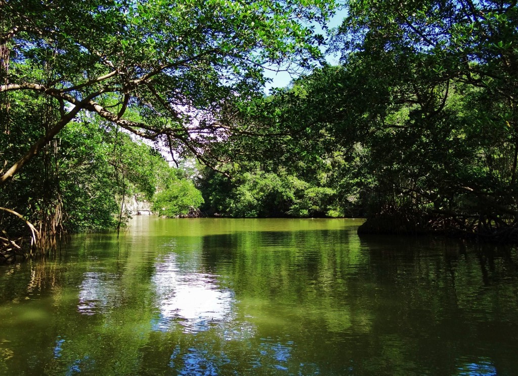 Foto: Parque Nacional Los Haitises - Parque Nacional Los Haitises (Hato Mayor), República Dominicana
