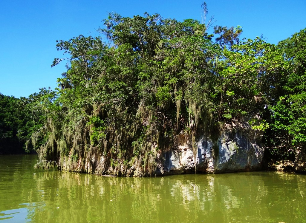 Foto: Los Haitises - Parque Nacional Los Haitises (Hato Mayor), República Dominicana