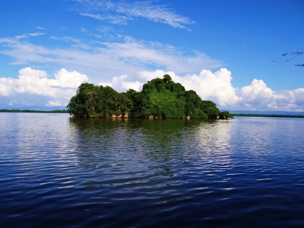 Foto: Cayo de Willy - Parque Nacional Los Haitises (Hato Mayor), República Dominicana