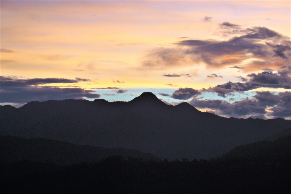 Foto: Azul celeste - Quebradanegra (Cundinamarca), Colombia