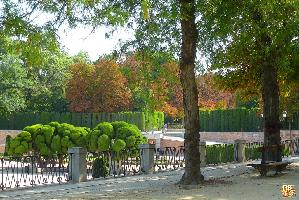 Foto: Parterre del Parque del Retiro - Madrid (Comunidad de Madrid), España