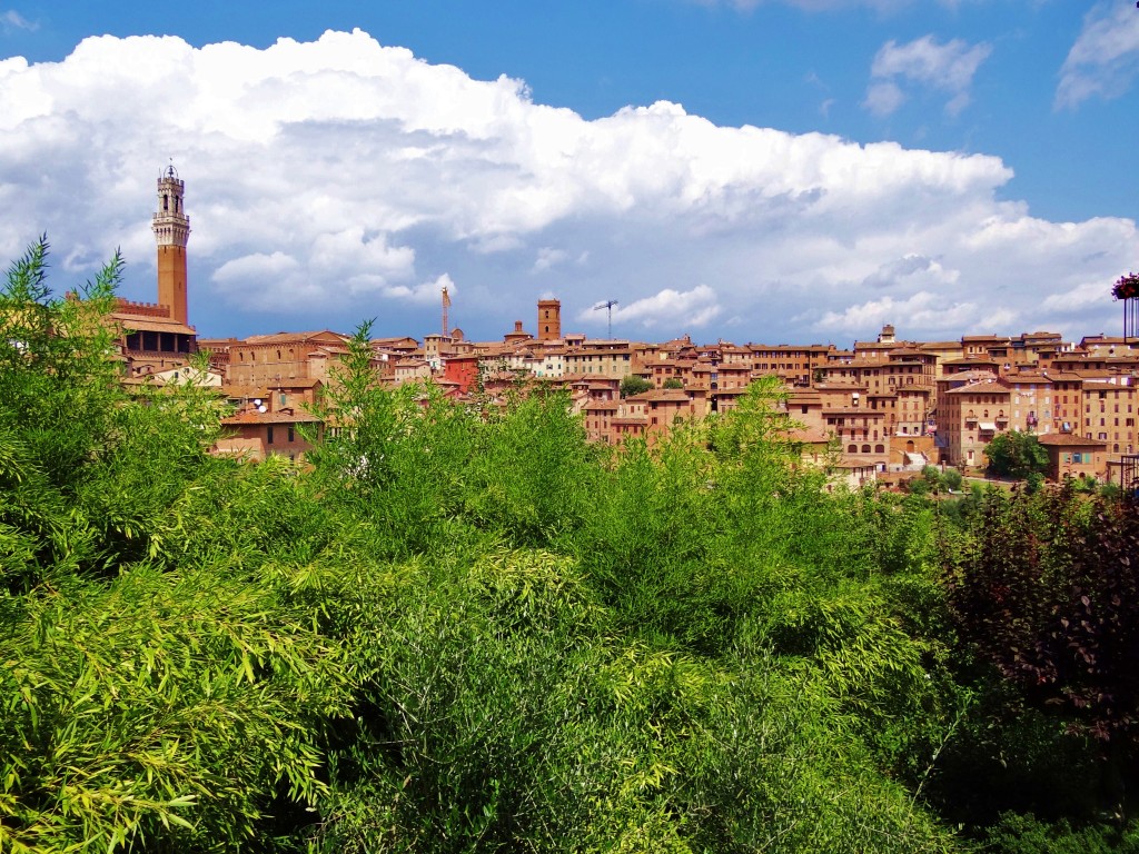 Foto: Via Di Fontanella - Siena (Tuscany), Italia
