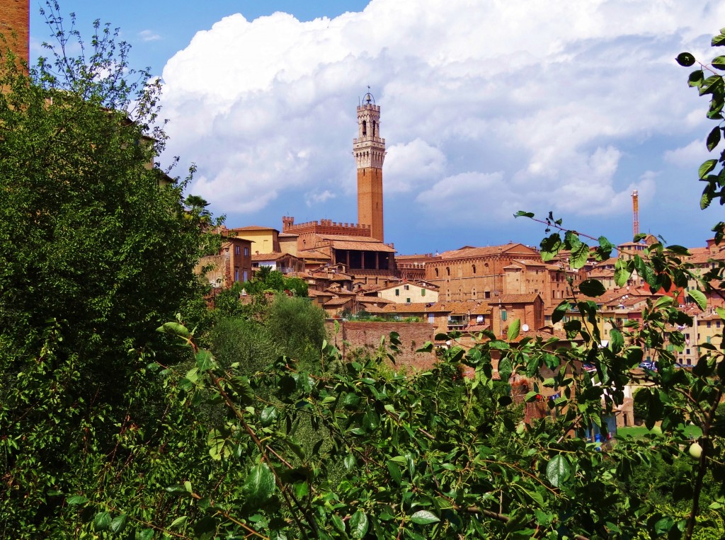 Foto: Via Di Fontanella - Siena (Tuscany), Italia