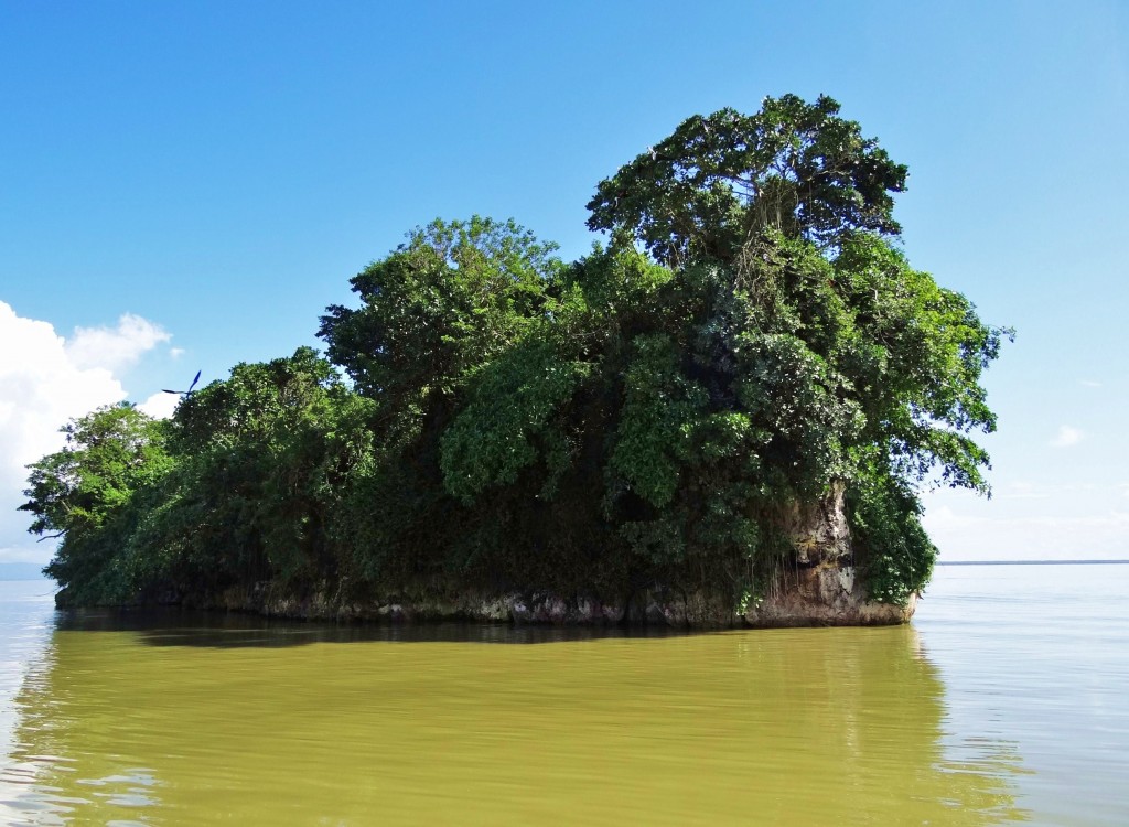 Foto: Bahía de Samaná - Parque Nacional Los Haitises (Hato Mayor), República Dominicana