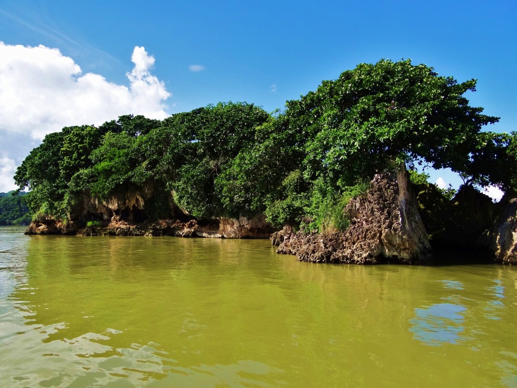Foto: Bahía de Samaná - Parque Nacional Los Haitises (Hato Mayor), República Dominicana