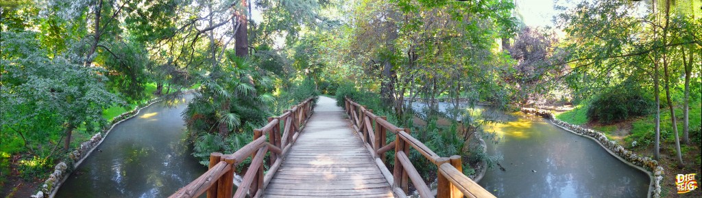 Foto: Parque del Retiro-Ria e Isla Ovalada en Campo Grande. - Madrid (Comunidad de Madrid), España