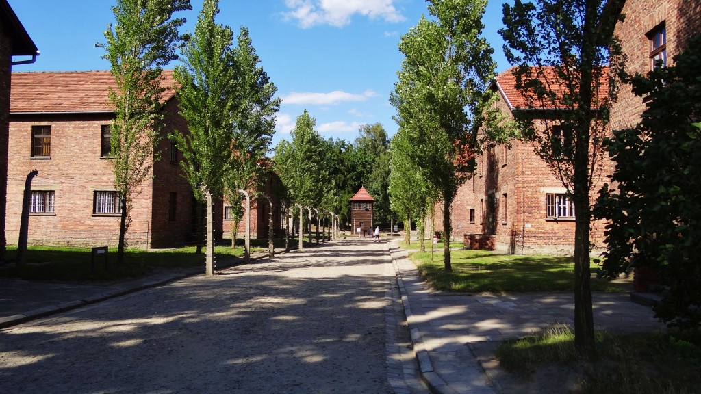 Foto: Muzeum Auschwitz-Birkenau - Oświęcim (Lesser Poland Voivodeship), Polonia