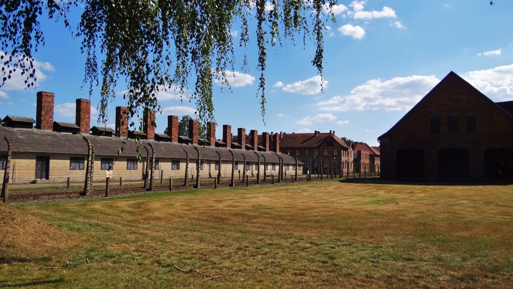 Foto: Muzeum Auschwitz-Birkenau - Oświęcim (Lesser Poland Voivodeship), Polonia