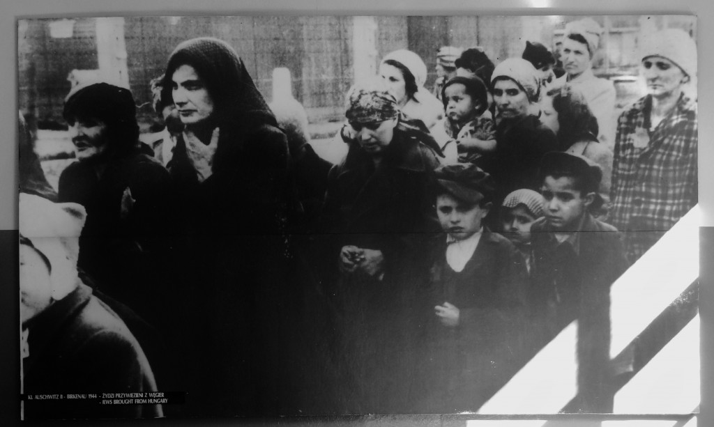 Foto: Muzeum Auschwitz-Birkenau - Oświęcim (Lesser Poland Voivodeship), Polonia