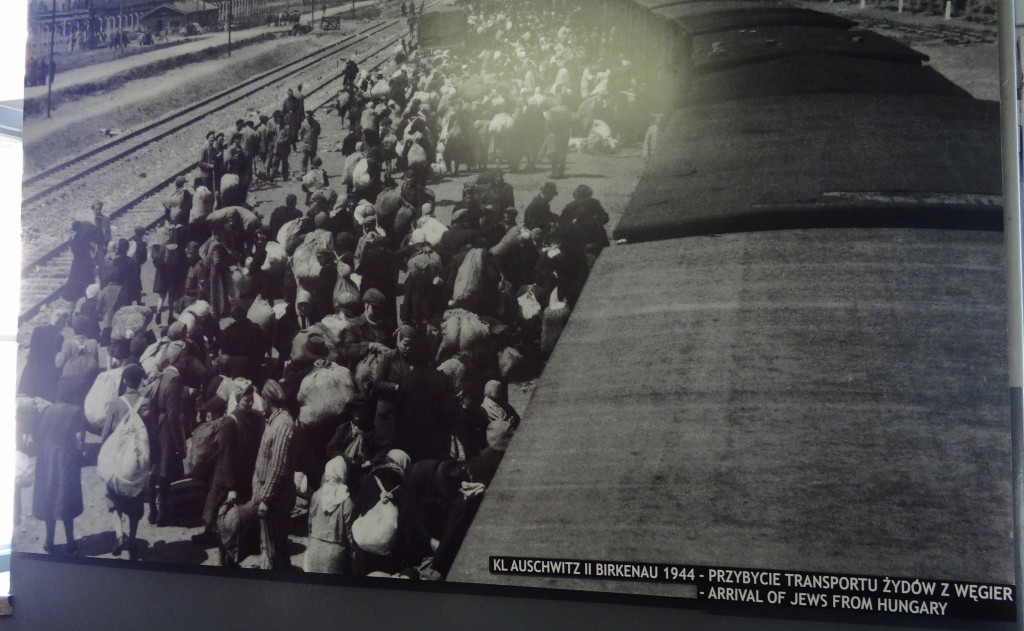Foto: Muzeum Auschwitz-Birkenau - Oświęcim (Lesser Poland Voivodeship), Polonia