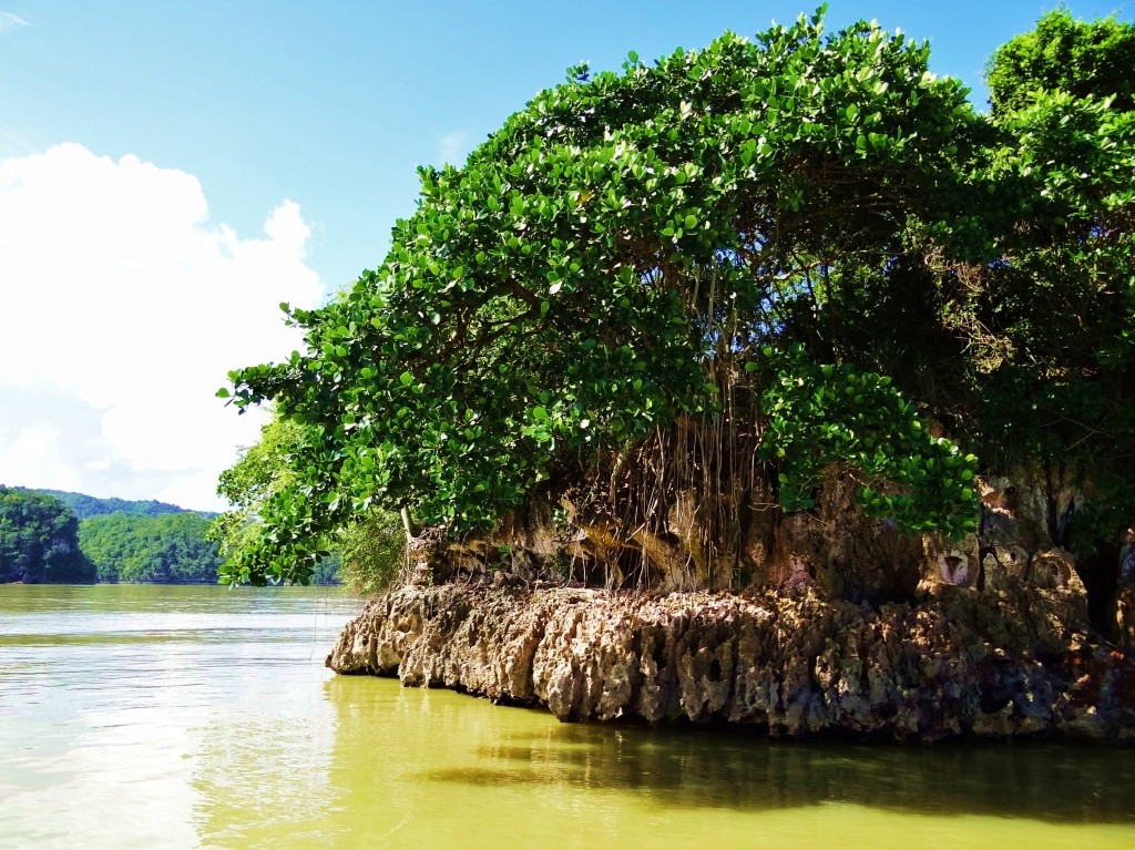 Foto: Bahía de Samaná - Parque Nacional Los Haitises (Hato Mayor), República Dominicana