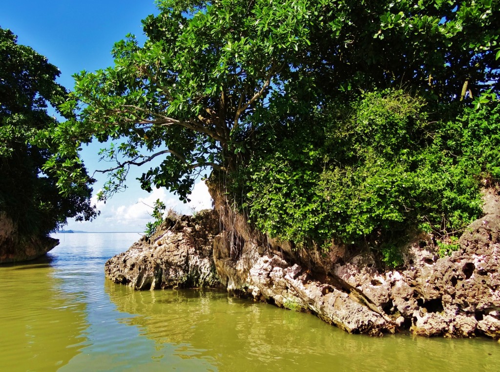 Foto: Bahía de Samaná - Parque Nacional Los Haitises (Hato Mayor), República Dominicana