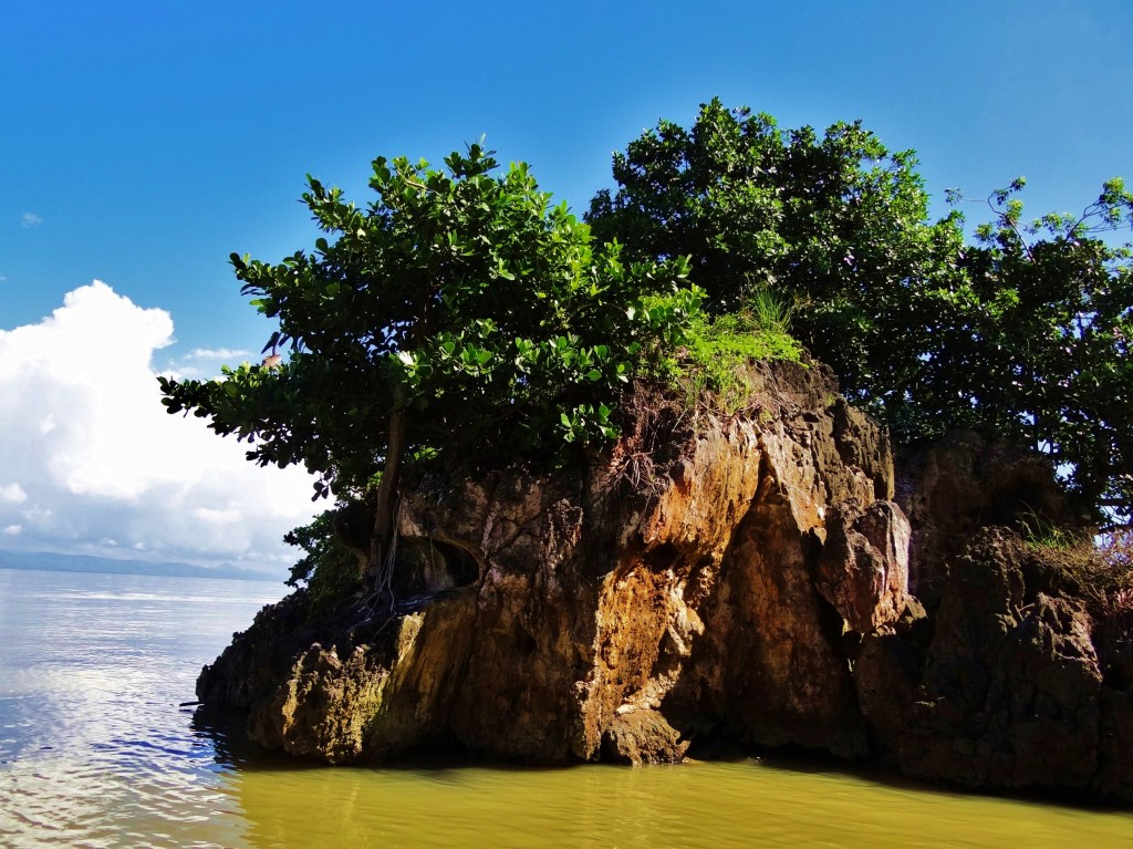 Foto: Bahía de Samaná - Parque Nacional Los Haitises (Hato Mayor), República Dominicana