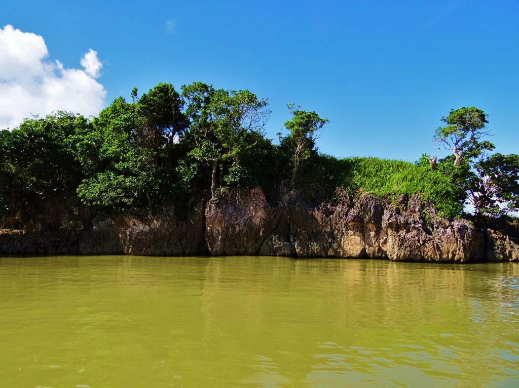 Foto: Bahía de Samaná - Parque Nacional Los Haitises (Hato Mayor), República Dominicana