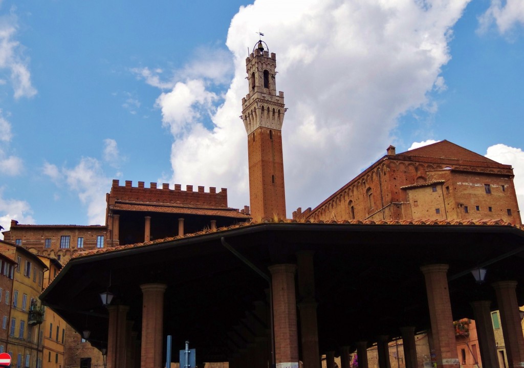 Foto: Piazza Del Mercato - Siena (Tuscany), Italia