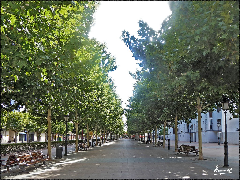 Foto: 170810-42 CALATAYUD - Calatayud (Zaragoza), España