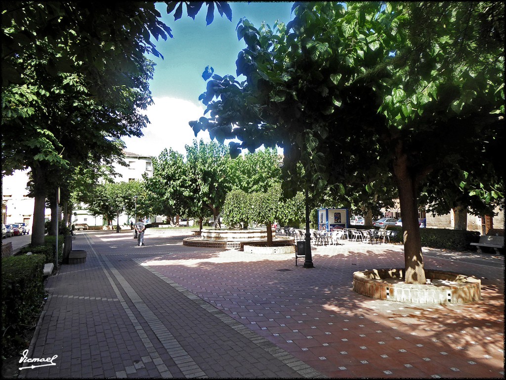 Foto: 170810-04 ARIZA - Ariza (Zaragoza), España