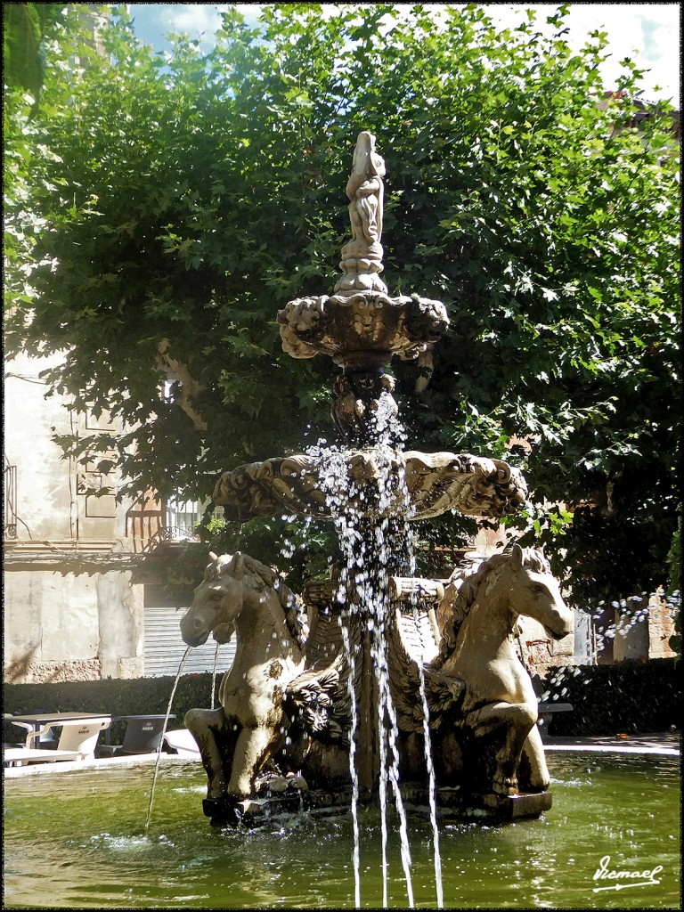 Foto: 170810-08 ARIZA - Ariza (Zaragoza), España