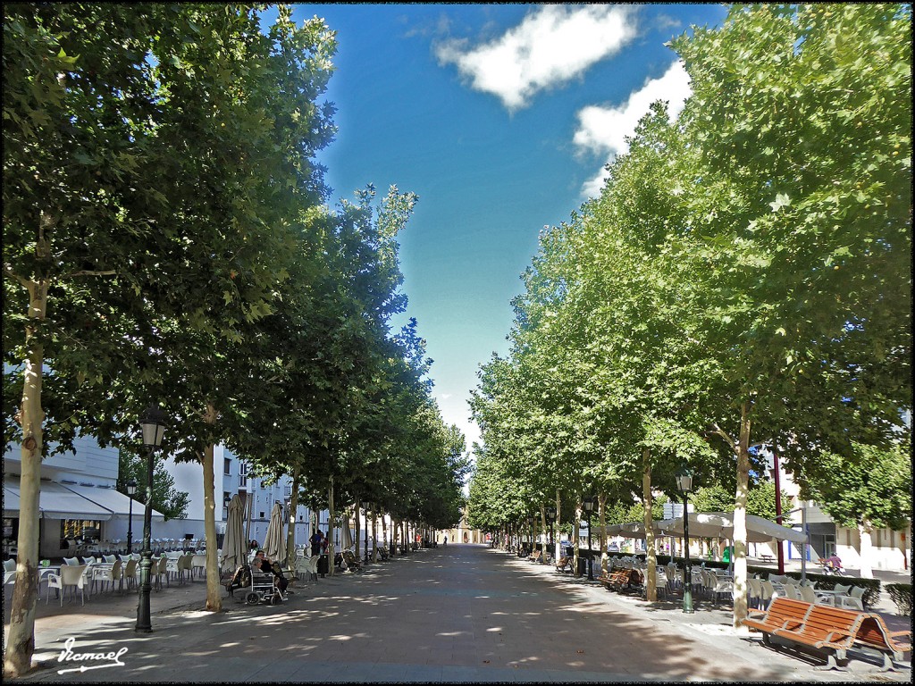 Foto: 170810-43 CALATAYUD - Calatayud (Zaragoza), España