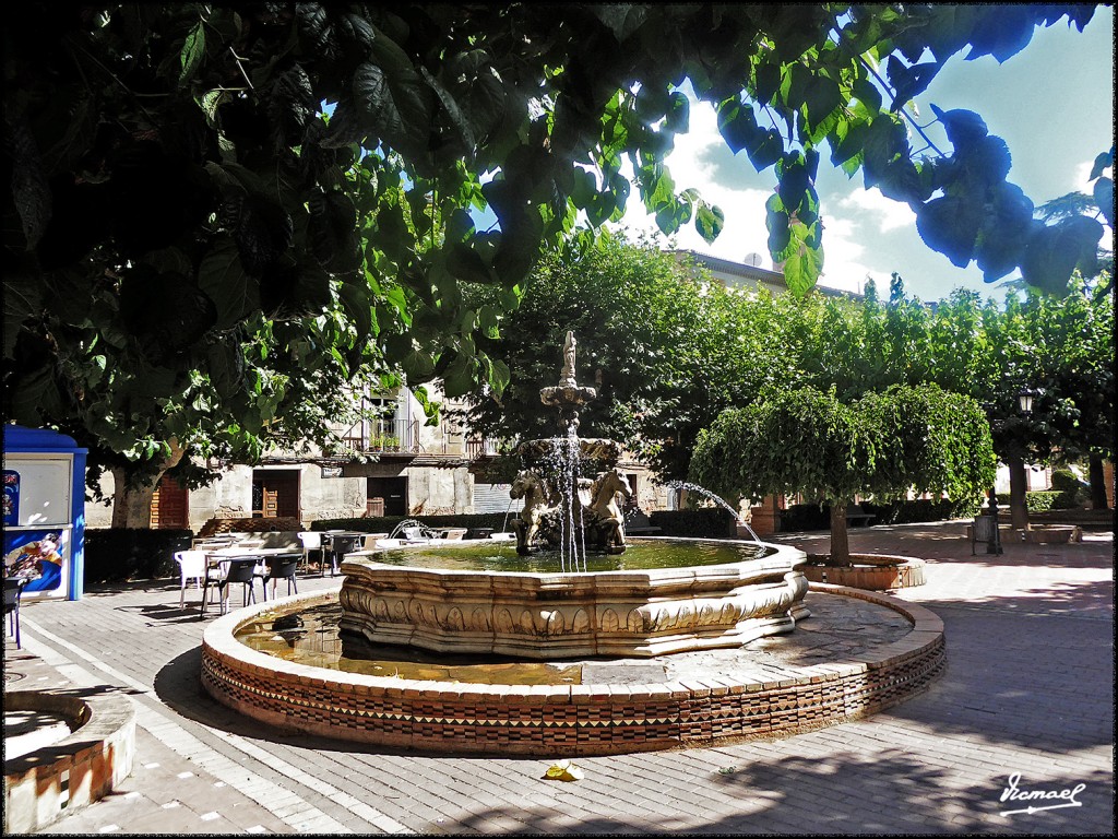 Foto: 170810-06 ARIZA - Ariza (Zaragoza), España
