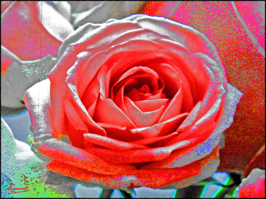 Foto: 170724-080 KAZANLAK - Kazanlak (Stara Zagora), Bulgaria