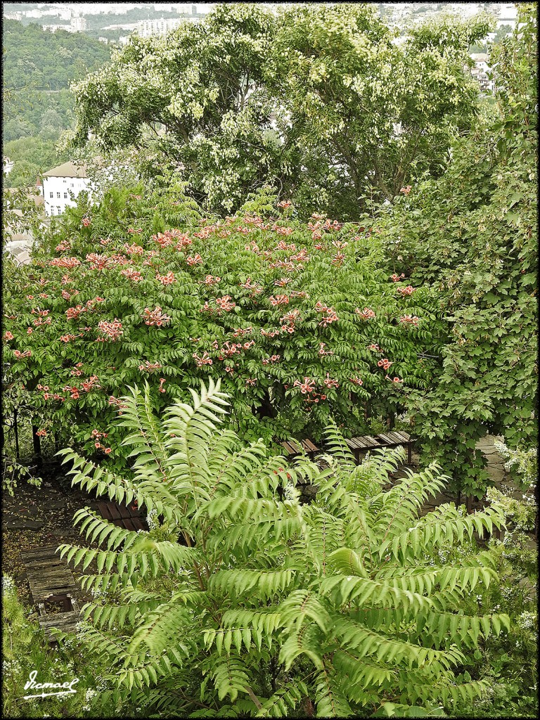 Foto: 170725-111 VELIKO TARNOVO - Veliko Tarnovo (Veliko Tŭrnovo), Bulgaria