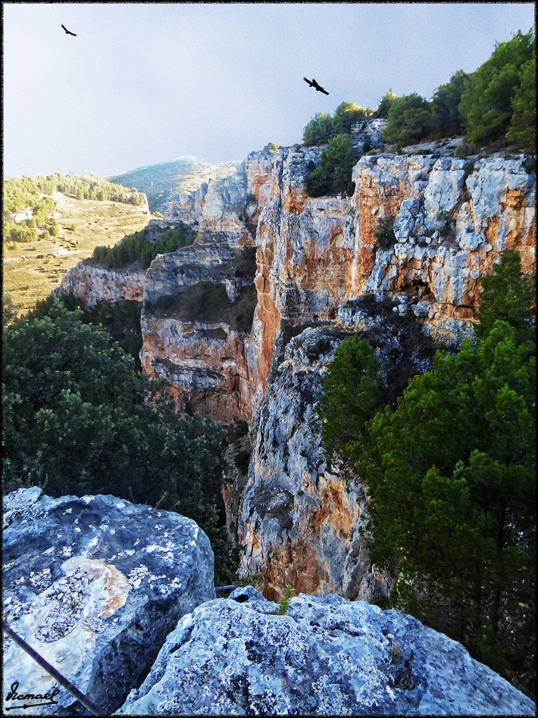 Foto: 170821-16 BUITRERA CALMARZA - Calmarza (Zamora), España