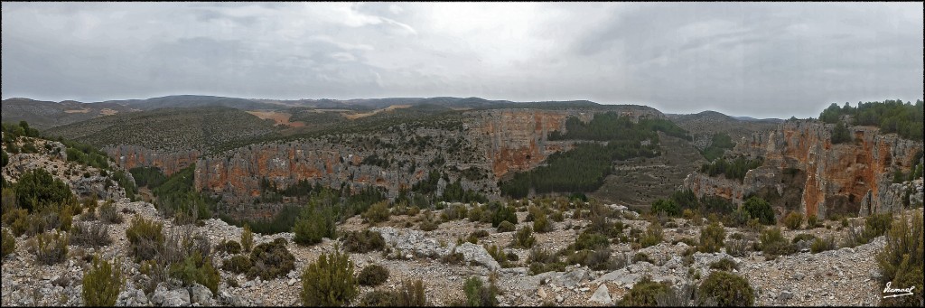 Foto: 170826-05 BUITRERA CALMARZA - Calmarza (Zamora), España