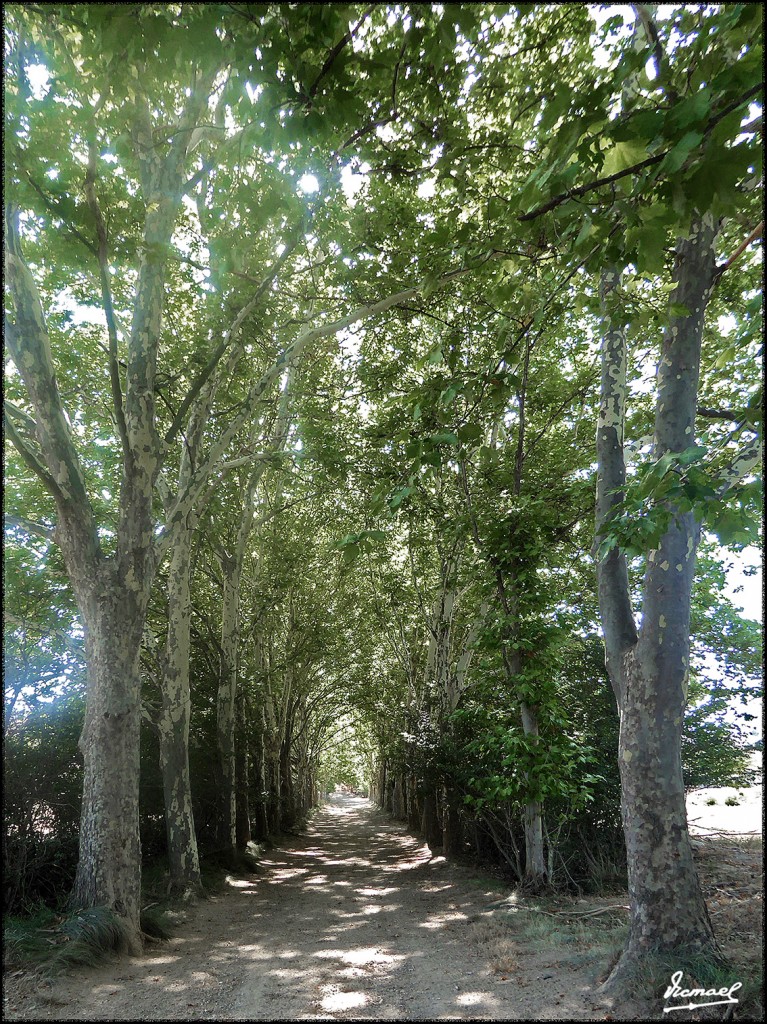 Foto: 170822-03 CASA DE LA VEGA - Embid de Aeiza (Zamora), España