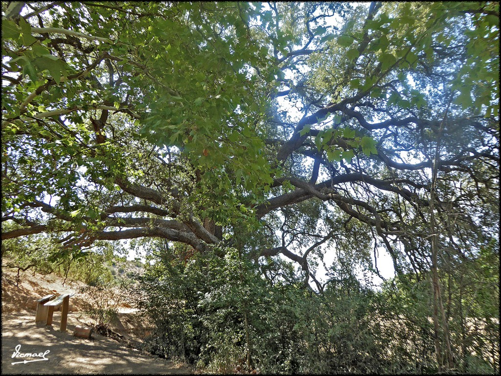 Foto: 170822-16 CASA DE LA VEGA - Embid de Aeiza (Zamora), España