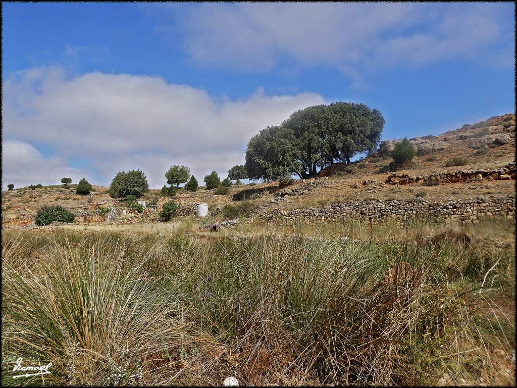 Foto: 170829-12 ALCONCHEL DE ARIZA - Alconchel de Ariza (Zamora), España