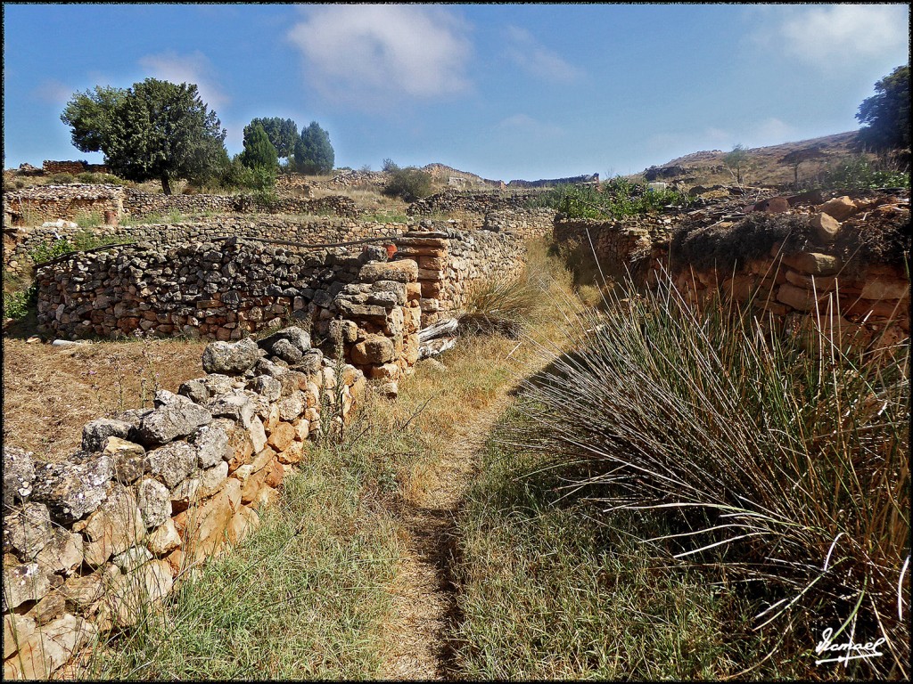 Foto: 170829-13 ALCONCHEL DE ARIZA - Alconchel de Ariza (Zamora), España