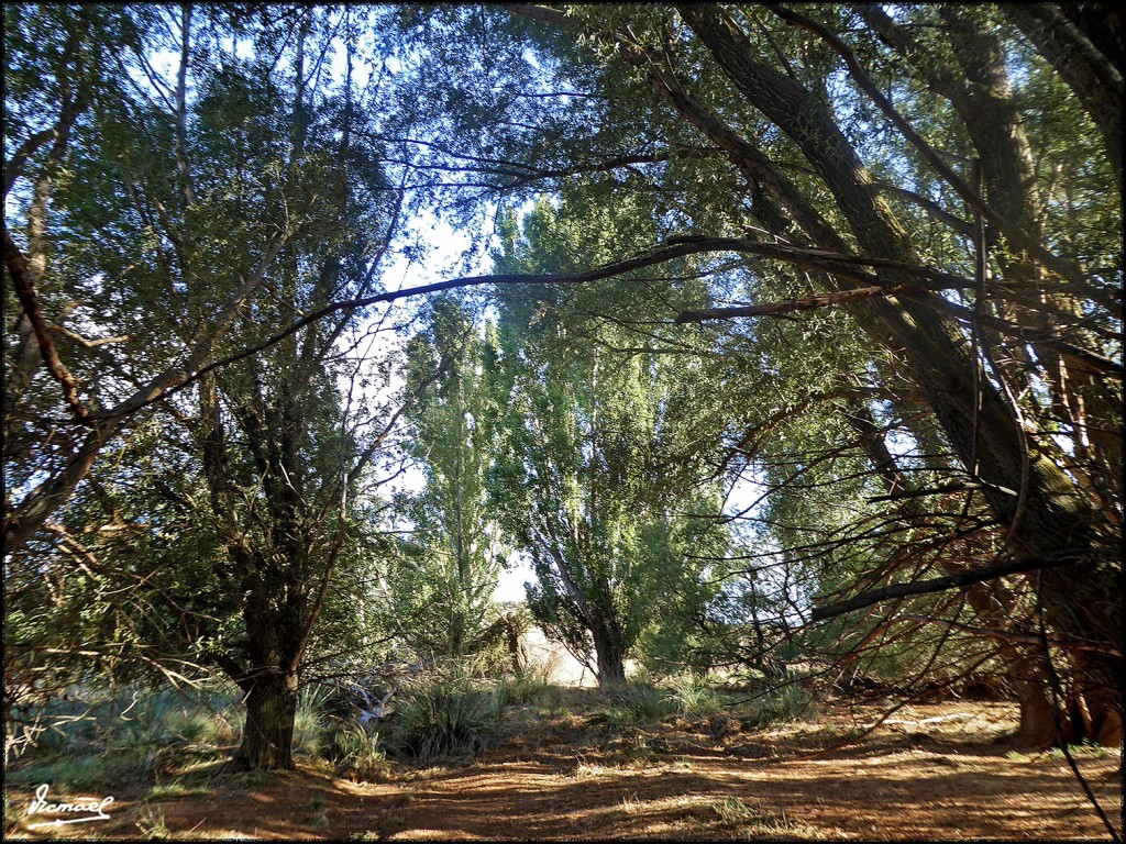 Foto: 170831-23 ALCONCHEL DE ARIZA - Alconchel de Ariza (Zamora), España