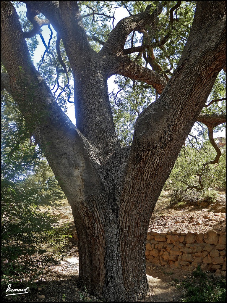 Foto: 170822-10 CASA DE LA VEGA - Embid de Aeiza (Zamora), España