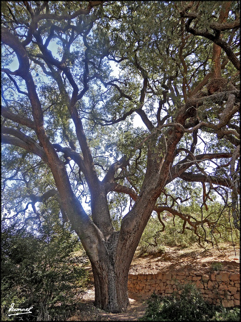 Foto: 170822-07 CASA DE LA VEGA - Embid de Aeiza (Zamora), España