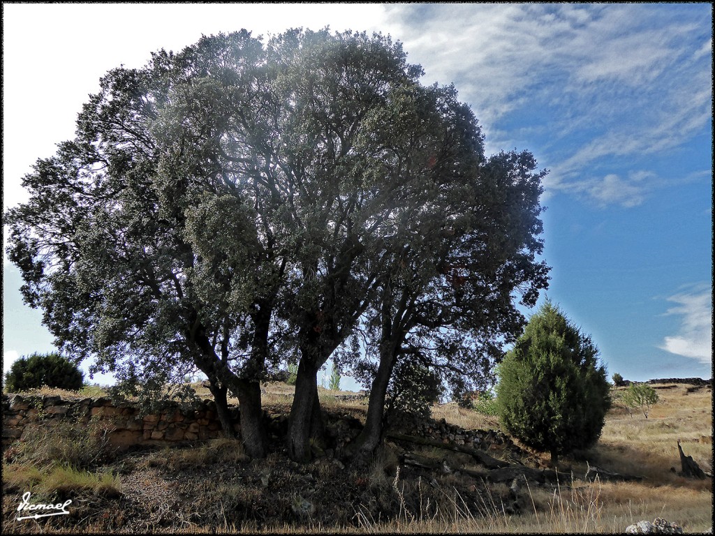 Foto: 170829-19 ALCONCHEL DE ARIZA - Alconchel de Ariza (Zamora), España