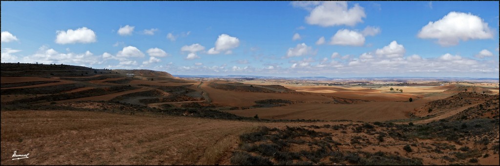 Foto: 170831-06 ALCONCHEL DE ARIZA - Alconchel de Ariza (Zamora), España