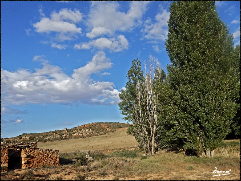 Foto: 170831-24 ALCONCHEL DE ARIZA - Alconchel de Ariza (Zamora), España
