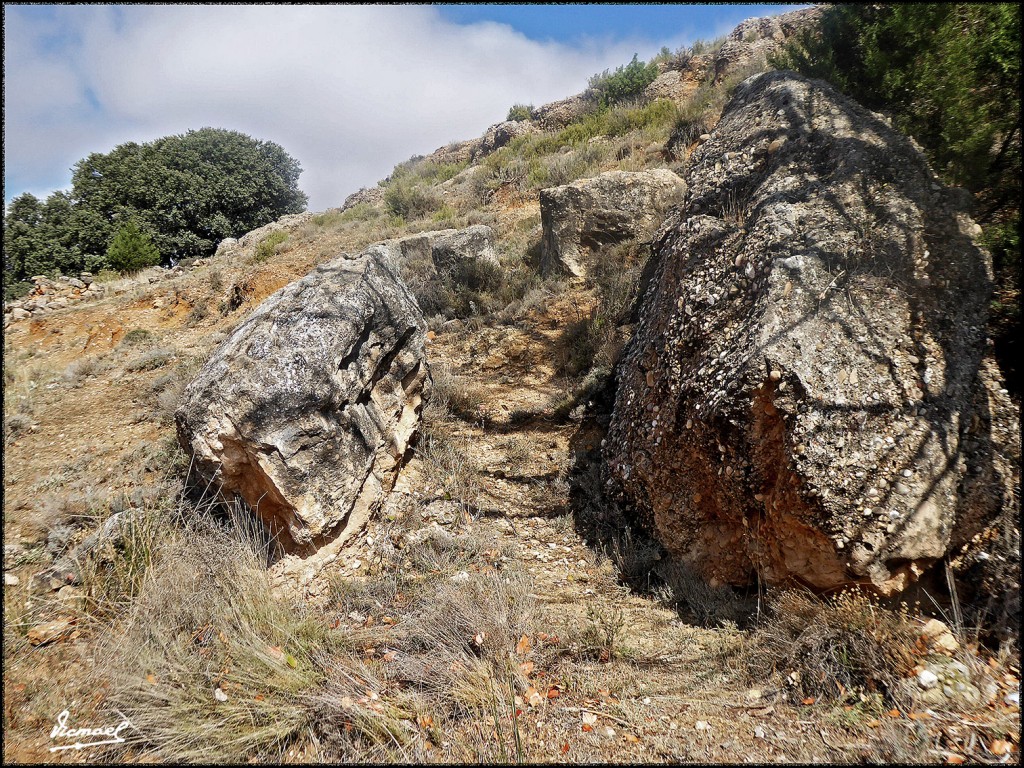 Foto: 170829-11 ALCONCHEL DE ARIZA - Alconchel de Ariza (Zamora), España