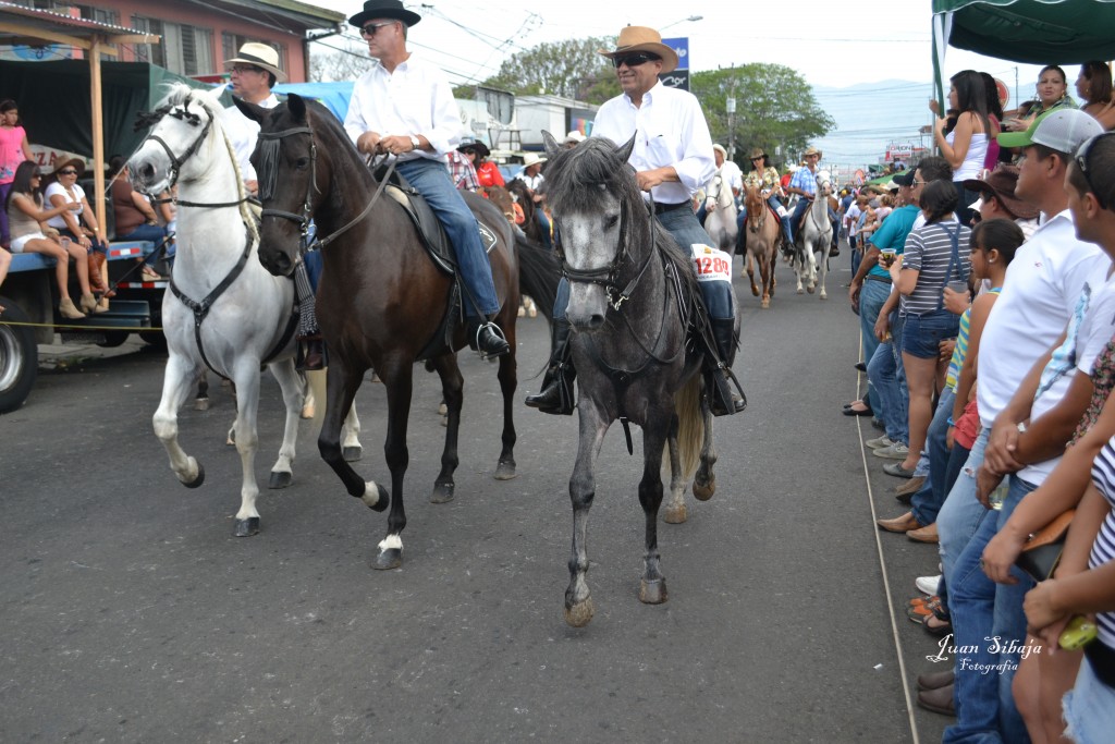 Foto: Tope Alajuela  2013 - Alajuela, Costa Rica