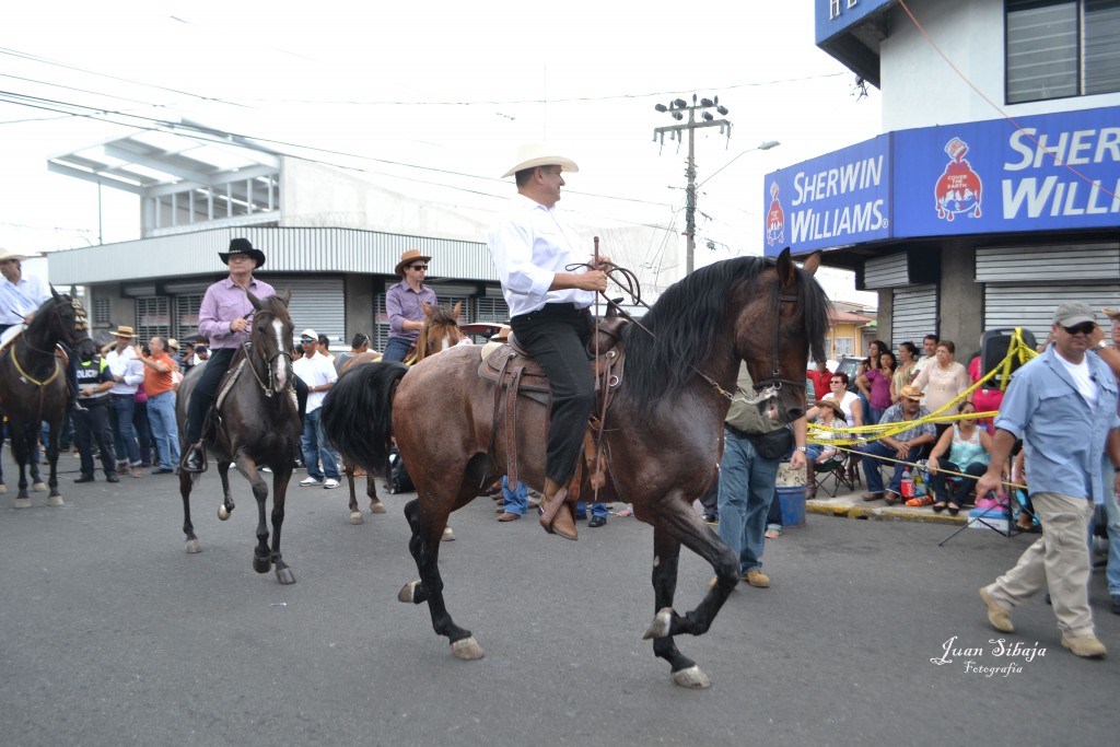 Foto: Tope Alajuela  2013 - Alajuela, Costa Rica