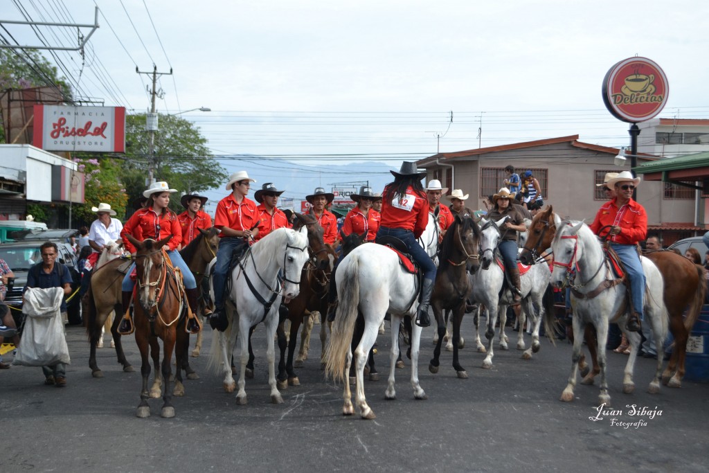 Foto: Tope Alajuela  2013 - Alajuela, Costa Rica